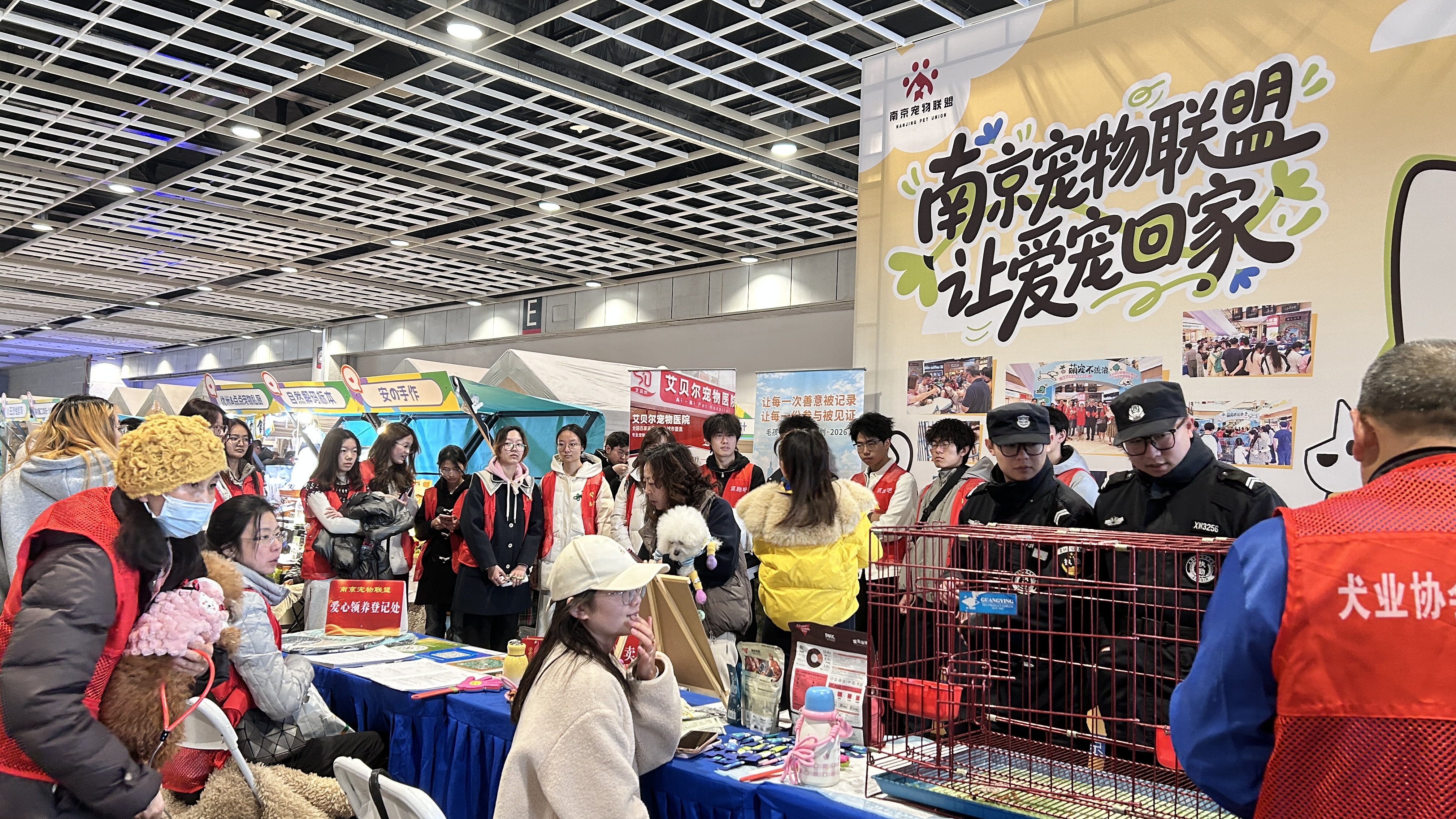 救助领养